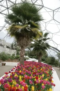 England Travel Photography Prints: Eden Project Cornwall