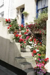 Prints of Flowers out a cottage in the cornish fishing village of Polperro Polperro Prints: Polperro Cottage Print: Cornwall Village Scene