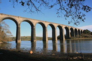 St Germans Rail Viaduct Winter Print