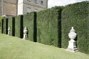 Statue Prints: Buscot Park Print: Statues in the Gardens