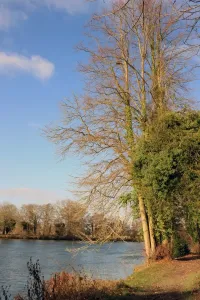 Cliveden Print: A Waterfront Scene at the Astor Estate