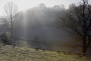 Cotswolds Scenery Prints: Winter light