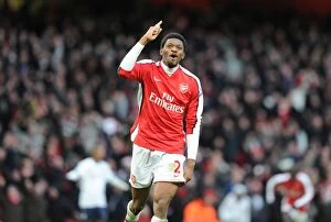 Images Dated 27th December 2009: Abou Diaby's Thrilling Goal: Arsenal's 3rd vs Aston Villa (3-0), Barclays Premier League