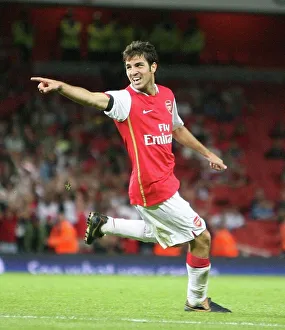 Ces Fabregas celebrates scoring the 2nd Arsenal goal Ces Fabregas celebrates scoring the 2nd Arsenal goal