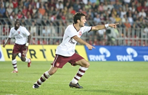 Cesc Fabregas celebrates scoring the 1st Arsenal Cesc Fabregas celebrates scoring the 1st Arsenal