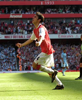 Cesc Fabregas celebrates scoring Arsenals goal Cesc Fabregas celebrates scoring Arsenals goal