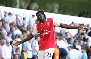 Emmanuel Adebayor celebrates scoring the 3rd Arsenal goal Emmanuel Adebayor celebrates scoring the 3rd Arsenal goal