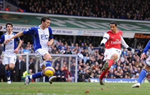 Theo Walcott shoots past Maik Taylor to score the 2nd Arsenal goal Theo Walcott shoots past Maik Taylor to score the 2nd Arsenal goal