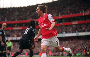 Tomas Rosicky celebrates scoring Arsenals 2nd goal Tomas Rosicky celebrates scoring Arsenals 2nd goal