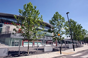 Trees on the street outside the stadium Trees on the street outside the stadium