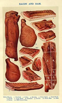 Bacon and Ham 1900s UK Isabella Beeton meat Mrs BeetonAs Book of Household Management Bacon and Ham 1900s UK Isabella Beeton meat Mrs BeetonAs Book of Household Management