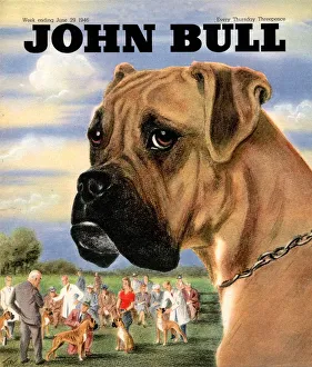 John Bull 1946 1940s UK dogs shows magazines John Bull 1946 1940s UK dogs shows magazines