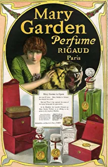 Mary Garden 1920s USA CC womens tigers rigaud Mary Garden 1920s USA CC womens tigers rigaud