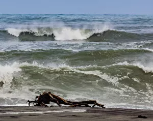 West Coast Collection: A sea-borne log on the beach at Hokitika in West Coast, New Zealand