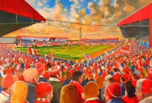 Ayresome Park Stadium Fine Art - Middlesbrough Football Club Ayresome Park Stadium Fine Art - Middlesbrough Football Club