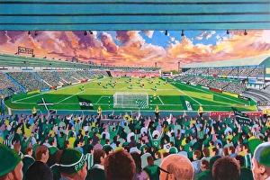 Home Park Stadium Fine Art - Plymouth Argyle Football Club Home Park Stadium Fine Art - Plymouth Argyle Football Club