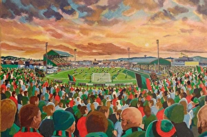 stadia ireland/oval stadium fine art glentoran football club