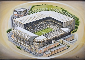 St James Park Stadia Art - Newcastle United