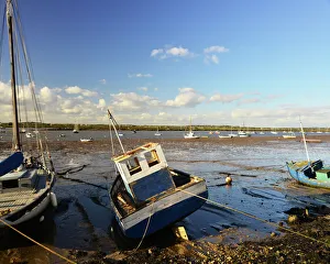 CJ5 2020 Evening sun at low tide, West Mersea CJ5 2020 Evening sun at low tide, West Mersea