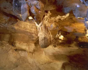 Cave Painting Prints: Ghar Dalam Cave Print