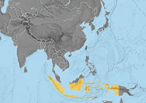 Asia, Relief Map With Country Borders