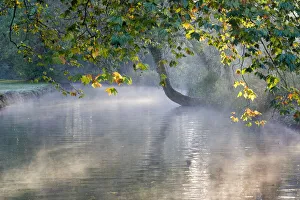 Autumn colour on the River Cherwell in Oxford h Autumn colour on the River Cherwell in Oxford h
