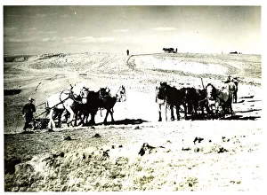 Building stock water dam, United States, 1930 Building stock water dam, United States, 1930