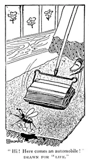 Carpet sweeper or Bissell wrongly identified Carpet sweeper or Bissell wrongly identified