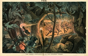 Coming Conflagration in European Forest, 1883 Coming Conflagration in European Forest, 1883