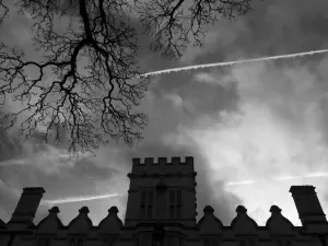 Bare Tree and University College Oxford Print