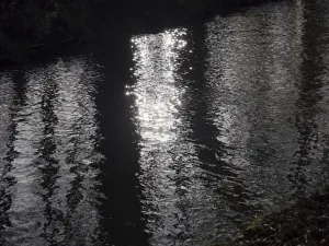 Bare Trees Print, Cherwell River Reflection
