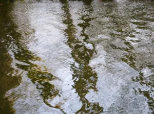 Bare Trees Print, Cherwell River Reflection