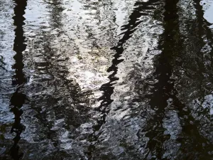 Bare Trees Print - Winter Reflection on Cherwell River, Oxford