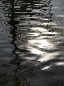 Bare Trees Print - Cherwell River Reflection