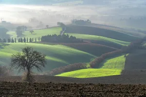 Prints of Countryside, Fog, Macerata, Marche, Italy, Europe Macerata Prints: Countryside Print, Macerata Region Landscape
