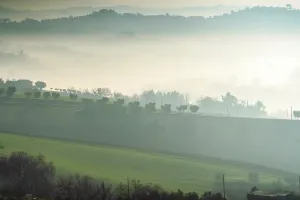 Prints of Countryside, Fog, Macerata, Marche, Italy, Europe Macerata Prints: Countryside Print - Foggy Landscape in Macerata, Italy