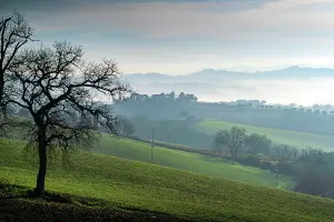 Prints of Countryside, Fog, Macerata, Marche, Italy, Europe Macerata Prints: Countryside Print: Foggy Landscape in Macerata, Italy