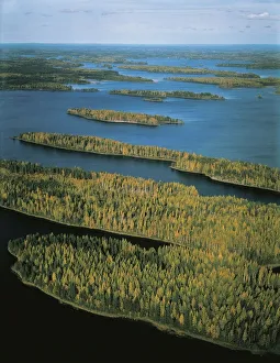 Finland, Aerial view of birch and pine forests Finland, Aerial view of birch and pine forests