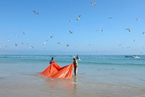 Fisherman. indin Ocean. Oman. Asia Fisherman. indin Ocean. Oman. Asia