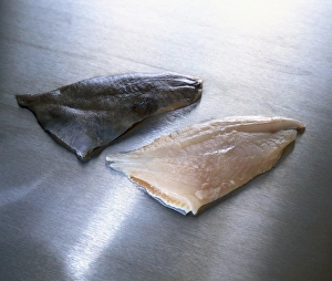 Fresh John Dory (Mato dai) fillets for sushi Fresh John Dory (Mato dai) fillets for sushi
