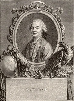 Georges - Louis Leclerc, Comte de Buffon