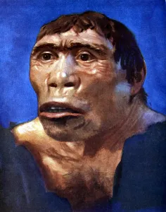 Java Man Reconstruction Print - Skull Cap and Thigh Bone