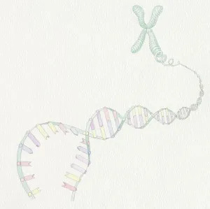 Double Helix Model Prints: Artwork of DNA structure