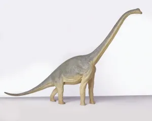 Brachiosaurus Side View Print