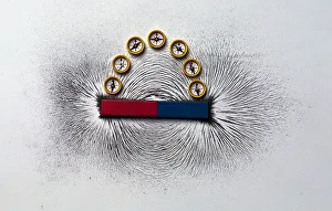 Iron filings and plotting compasses reveal the lines of magnetic force around a magnet Iron filings and plotting compasses reveal the lines of magnetic force around a magnet