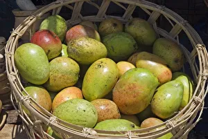 Kenya, Malindi, mangoes for sale at roadside stall Kenya, Malindi, mangoes for sale at roadside stall