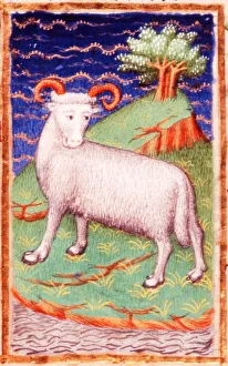March, Astrological sign of Aries, Ram March, Astrological sign of Aries, Ram