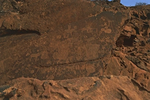Namibia, Damaraland Wilderness Area, Twyfelfontein, Brandberg Mountains, Stone Age rock engravings Namibia, Damaraland Wilderness Area, Twyfelfontein, Brandberg Mountains, Stone Age rock engravings