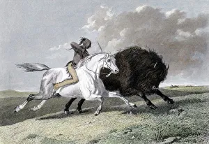 North American Indian hunting buffalo North American Indian hunting buffalo