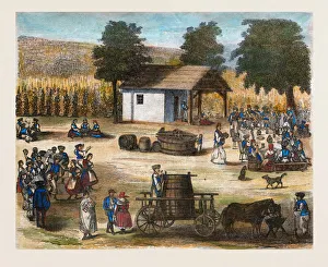 Party Of The Harvest Of The Grapes. Wine Party Of The Harvest Of The Grapes. Wine